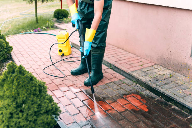 Best Soft Washing  in Morris Plains, NJ